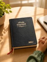 BSI Tamil Bible OV 75 BL Yapp N-O KBS