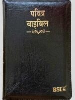 BSI Hindi Bible OV25Z