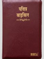 BSI-Hindi
