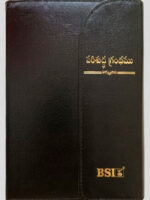 BSI Telugu Bible Compact Magnetic Flap TI Black BL