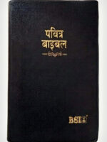BSI hindi compact yapp Amity
