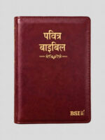 BSI Hindi Bible OV25ZTI BL Compact KBS