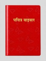 BSI Hindi Ordinary Bible Flexibond OV Reedited