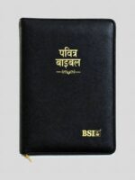 BSI hindi compact zip amity
