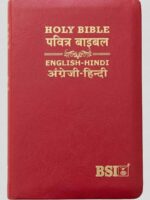 Diglot Bible Hindi English Regular PU Burgundy NAP