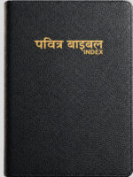 BSI Hindi Ordinary Bible Flexibond OV Reedited