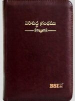 BSI Telugu Bible Compact Burgundry Zipper With TI NAP BL