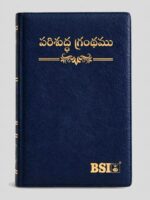 BSI Telugu Bible Crown Navy Blue Vinyl with Gold Spray Amity