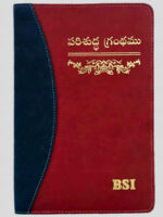 Telugu LOC SP Dual Colour Index Zipper Assembly
