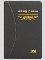 Telugu LOC SP Single Colour Index Zipper Assembly
